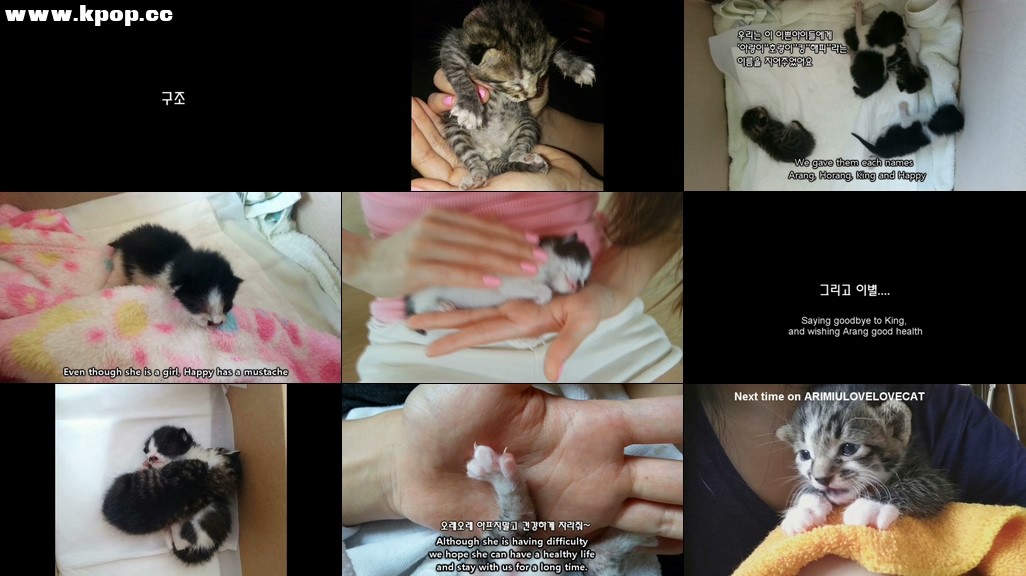 Waveya AriMiuLoveLoveCat – Rescue # episode1 – #0156插图1