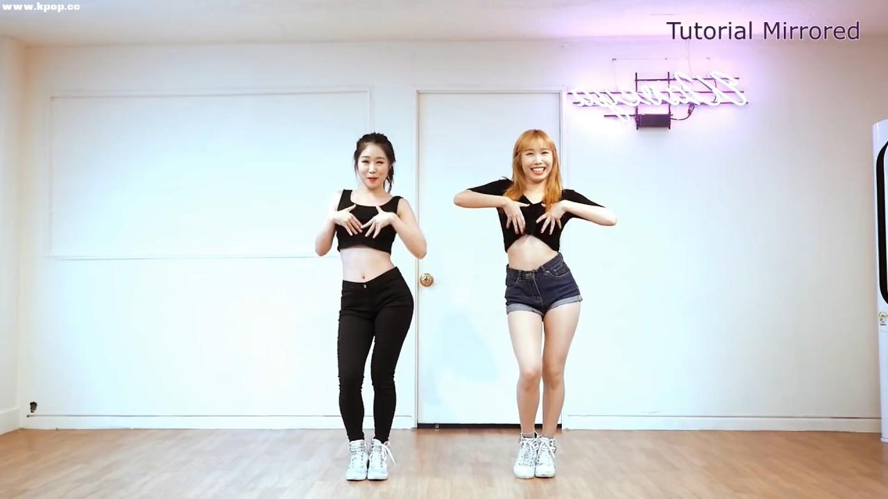 Dance Tutorial BLACKPINK 마지막처럼 거울모드 느리게 AS IF IT’S YOUR LAST waveya – #0340插图