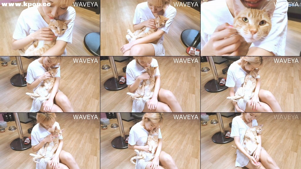 넘나 귀여운 남자 개냥이 치즈 WAVEYA – #0251插图1