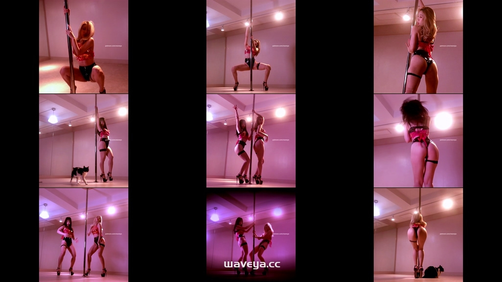 Ari MiU Pole Dance?I’m Not Here To Make Friends 파격 폴 섹시댄스 Waveya Memberme Patreon会员 (4k+1080p)[261M+110M] – #0202插图3